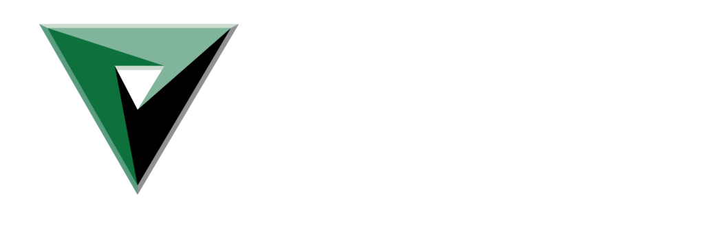 VFS Fire & Security Services