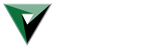 vfs logo