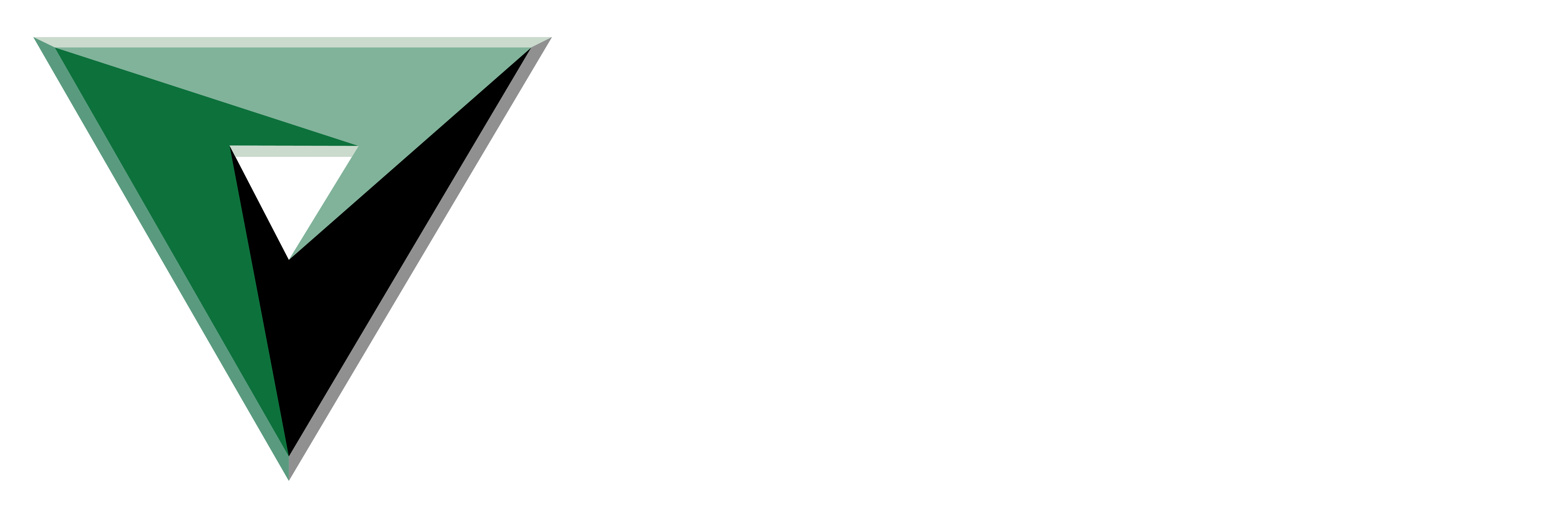 VFS Fire & Security Services
